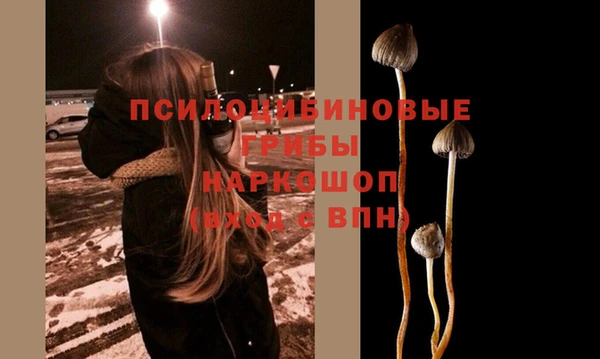 стафф Алексин
