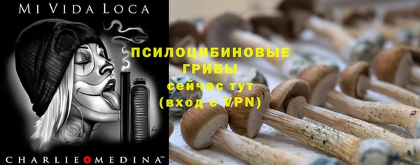 стафф Алексин