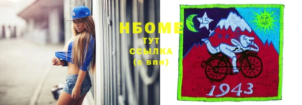 мдпв Рославль