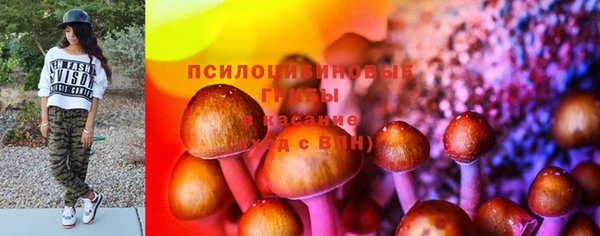 стафф Алексин