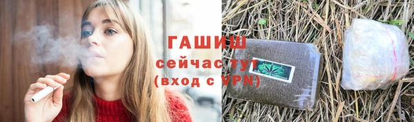 мдпв Рославль