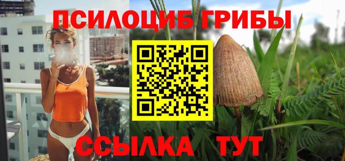 Галлюциногенные грибы Cubensis Россошь