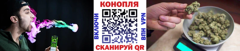 Шишки марихуана марихуана Россошь